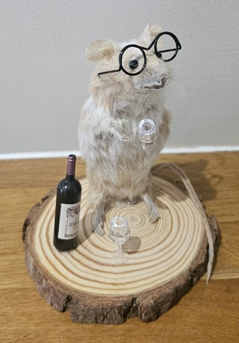 Bad taxidermy mouse - taxidermy, wine