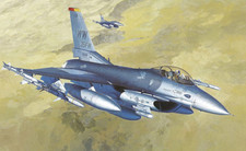 Hasegawa 1/48 F-16CJ Fighting