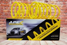 Apex lowering springs for Peugeot 405 Mi-16, D, TD (87 to 95) - 70-3020