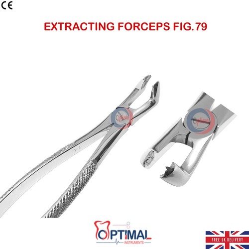 Tooth extraction forceps - tooth,