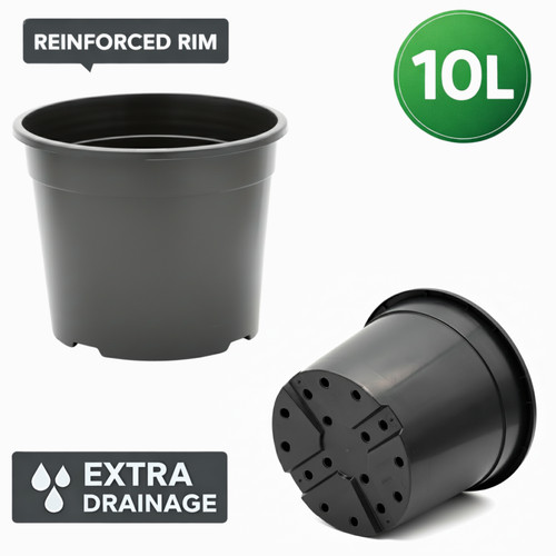 10l plastic plant pot - plant,