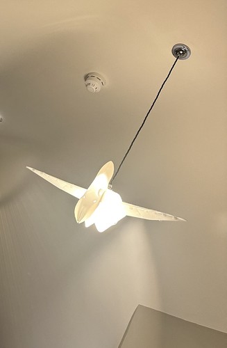 Flying pterodactyl dinosaur - flying,