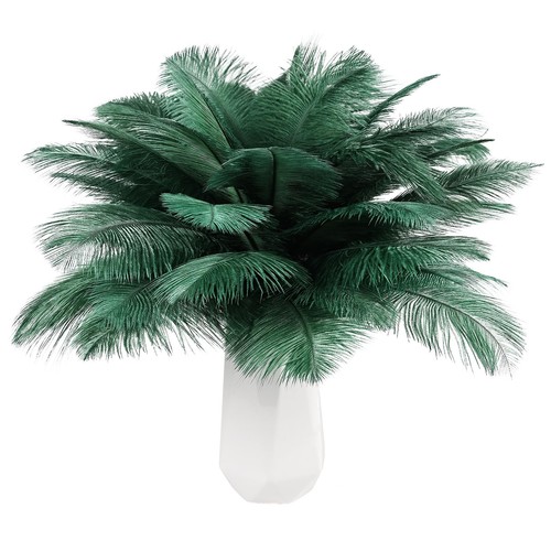 Blackish green ostrich - blackish,
