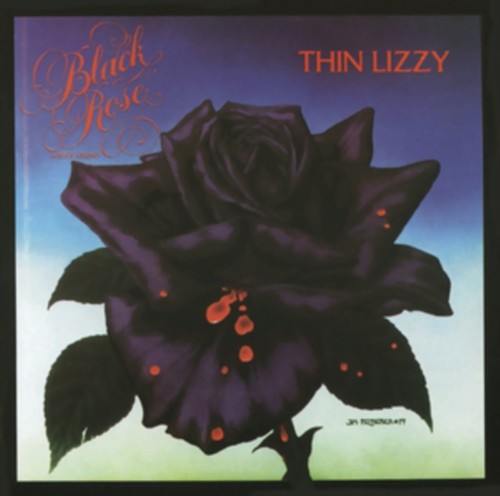 Black rose rock by thin - black,
