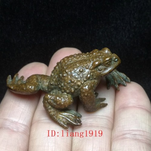 Collection chinese bronze - collection,