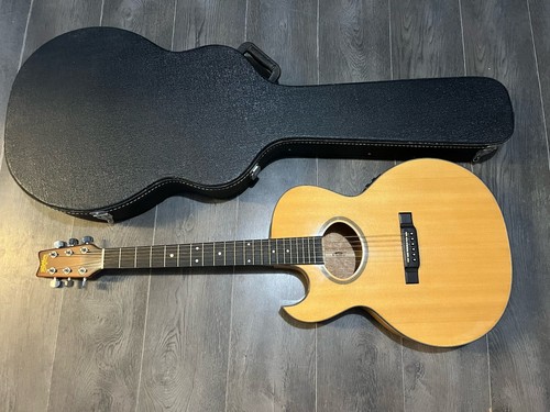Washburn ea40 guitar - ea40, left