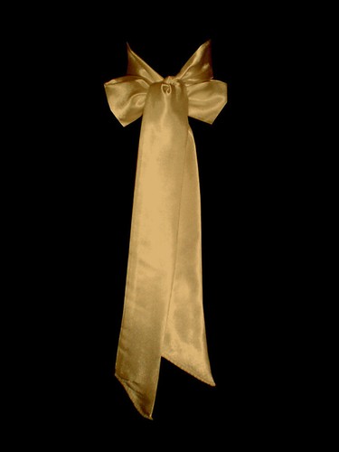 Gold satin wedding fancy dress - wedding,