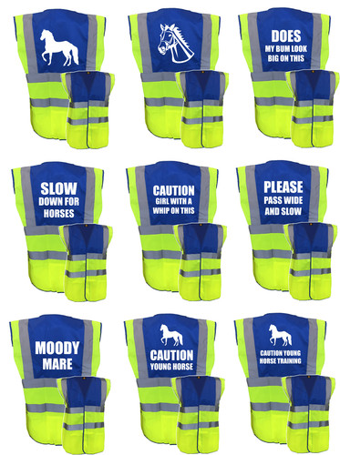 Horse riding vis - horse,