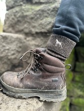 German Shorthaired Pointer