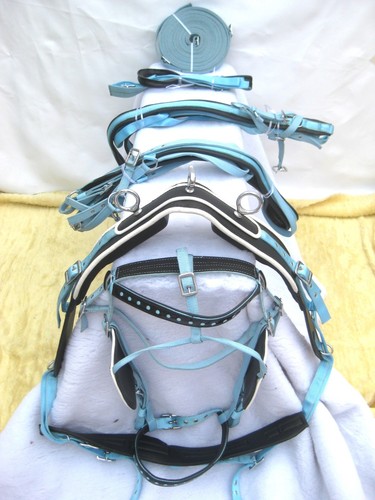 Single horse skyblue - horse, skyblue/black