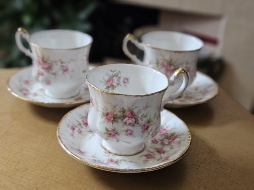 Paragon victoriana rose - paragon,