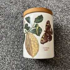 Vintage Portmeirion Botanic