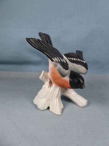 Goebel bird - goebel,