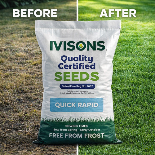 Quick rapid fast growing - rapid,