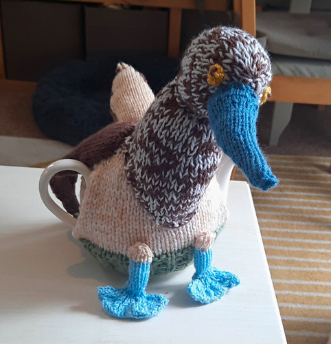 Handmade wool knitted tea - handmade,