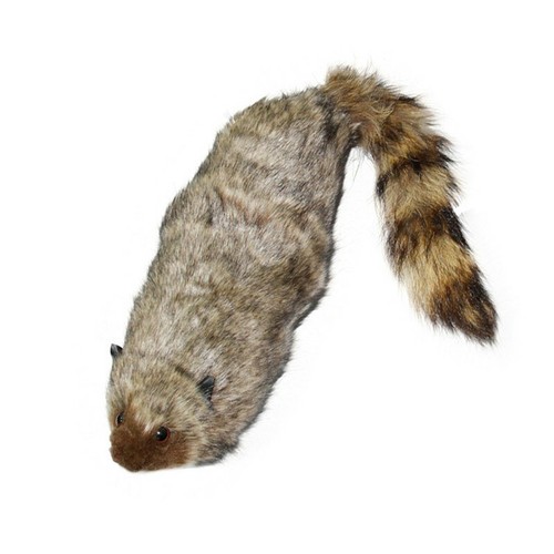 1xtoy magic the rocky raccoon - magic,