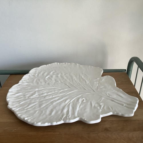 India jane white cabbage - jane,
