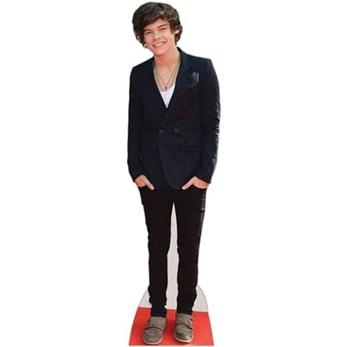 Harry styles boyband lifesize - boyband,
