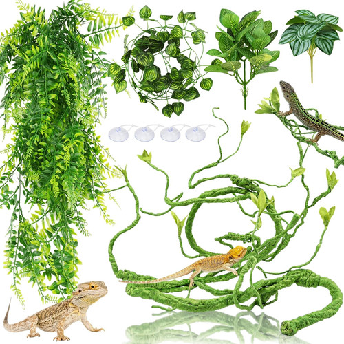 Quozuo bearded dragon tank - quozuo,