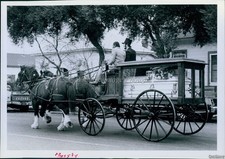 1984 Slidell Viola Anderson