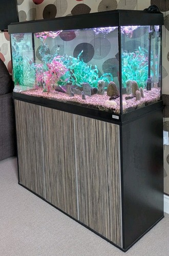 Fluval roma 200l - 200l, aquarium