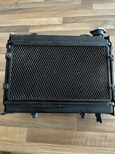 Dinli quadzilla 450 radiator - /,