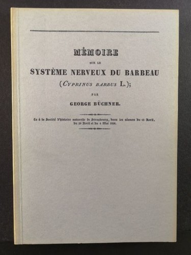Mémoire sur système - sur, le