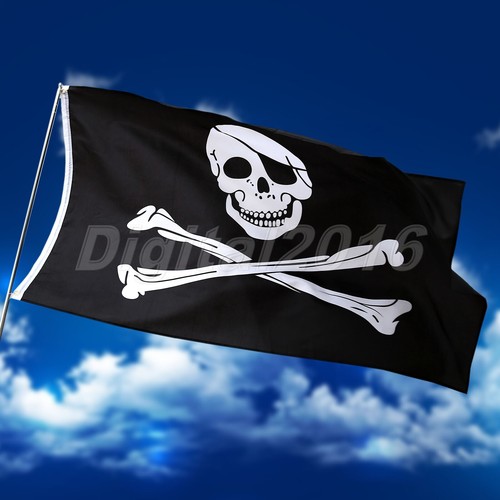 Large skull and crossbones - large,