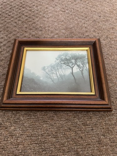 Framed sepia photo print - framed,
