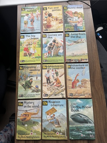 Ladybird key words - 12, x