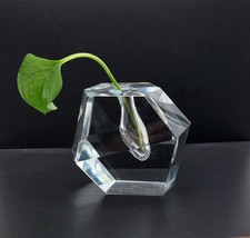 Geometric Faceted Crystal