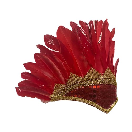 Feather headdress costume - feather,