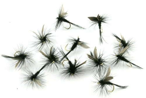 Black gnat classic - black, fly