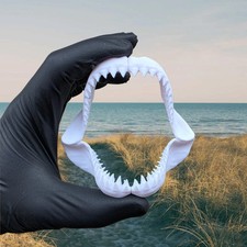Mini Megalodon Shark Jaw Replica 10cm | White PLA+ Fossil 3D Print Display