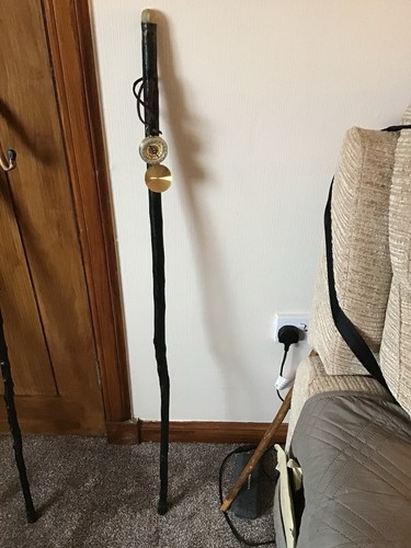 Blackthorn walking stick - blackthorn,