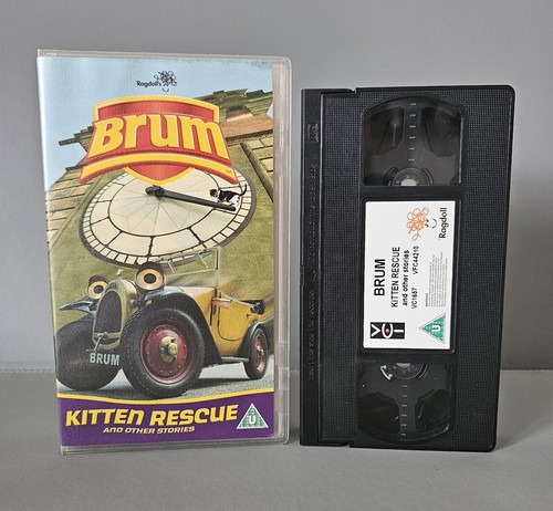 Brum kitten rescue and - brum,