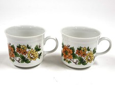 Vintage Mitterteich Bavaria Cups Floral Flowers 2pcs Porcelain BA096