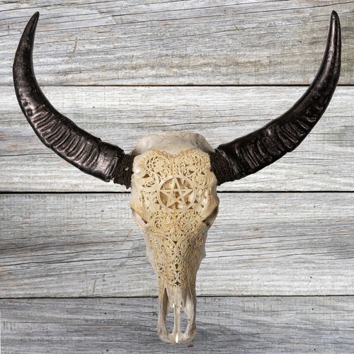 Large murrah buffalo - murrah,