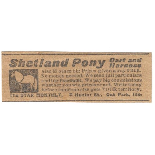 Shetland pony cart and harness - cart,