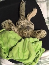 Hand The Puppet Company Rabbit