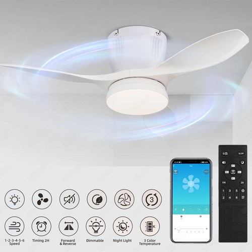 Large led ceiling fan - large, with