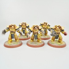 Imperial Fists Terminators x5