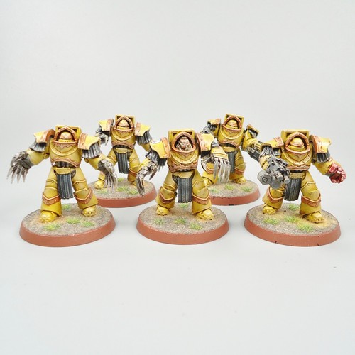 Imperial fists terminators - imperial,