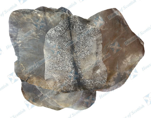 Full animal baby goat skins - baby,