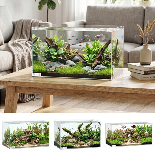 Fish tank glass aquarium with - fish,