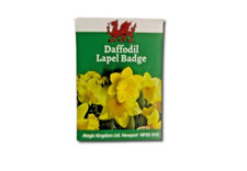 New Welsh Wales Gift Souvenir