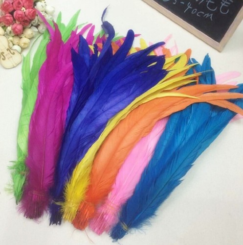 Long rooster tail feathers - tail,