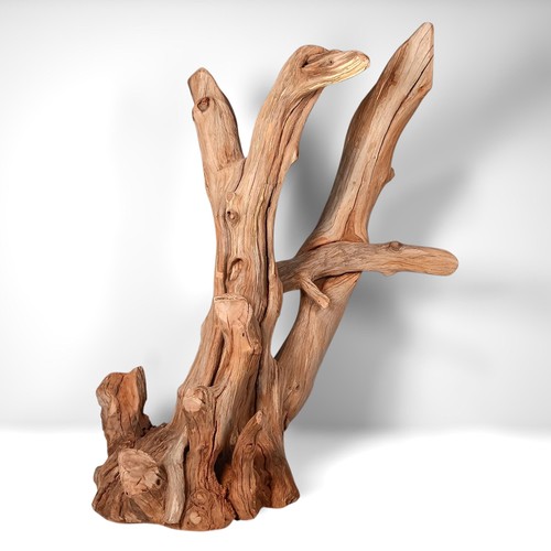 Massive manzanita - 28.75",