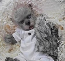 REBORN BABY DOLL KIT NEW Lula