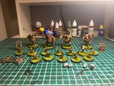 Blood Bowl Ogre Team Painted